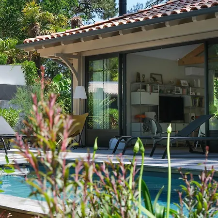 Les Grands Pins - Archik - Proche Haitza - Dune