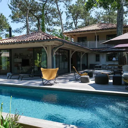 Les Grands Pins - Archik - Proche Haitza - Dune *